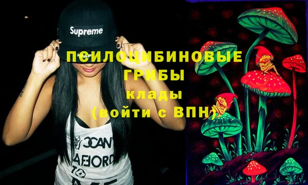 ALPHA PVP Строитель